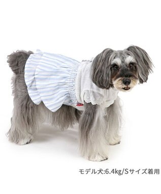 PET PARADISE ペットパラダイス ストライプ ワンピース 小型犬 ストライプ
