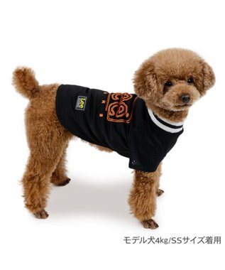 PET PARADISE Lee ネオン Tシャツ 《ブラック》 小型犬 ブラック
