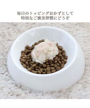 PET PARADISE リアルフード パウチスープ 《チキン＆ブロッコリー》 50g×3パック 国産 0