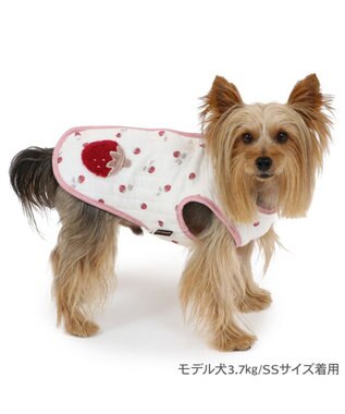 PET PARADISE ペットパラダイス ふわりと キルトベスト 《苺》 超小型犬 小型犬 苺柄