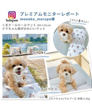 PET PARADISE くま ロール クールマット (90×45cm) ベージュ