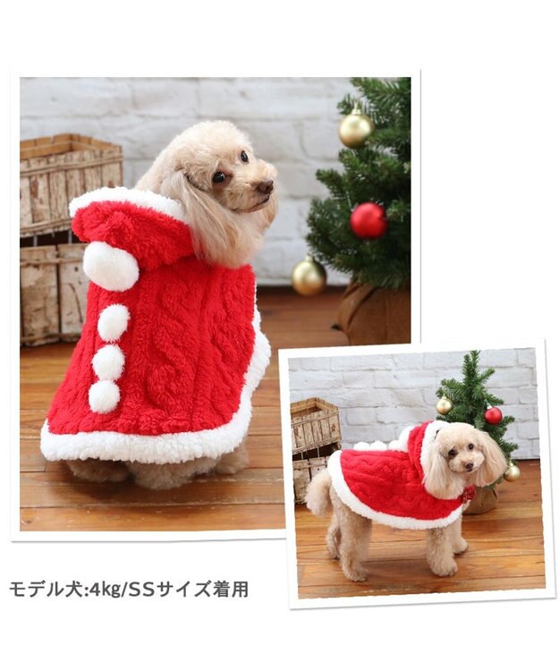 PET PARADISE ペットパラダイス サンタ ポンチョ 小型犬 サンタ