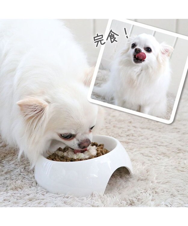 PET PARADISE リアルフード パウチスープ 《チキン＆ブロッコリー》 50g×3パック 国産 0