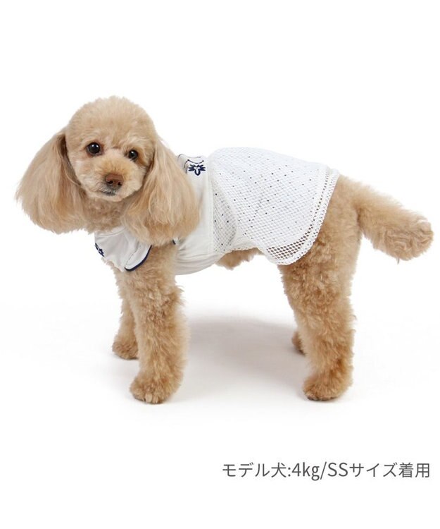 PET PARADISE ペットパラダイス エコメイド 天竺 刺繍 ワンピース 小型犬 ホワイト