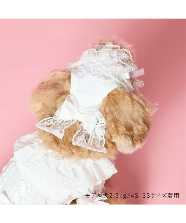 PET PARADISE cherircouture ヘッドドレス ４Ｓ～３Ｓ / ＳＳ～Ｓ ホワイト