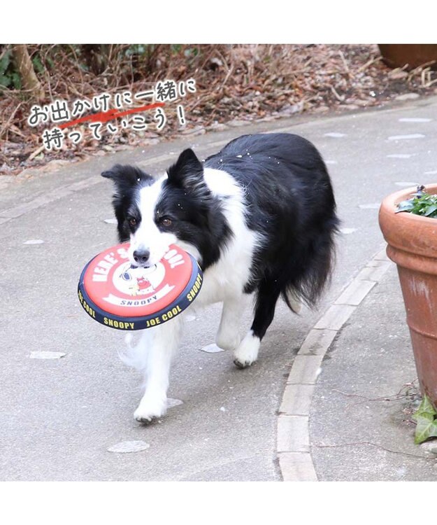 PET PARADISE 犬 おもちゃ スヌーピー フライングディスク M (直径22cm） 赤