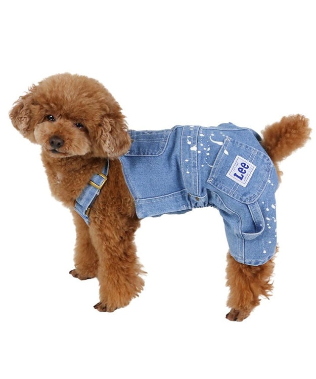 PET PARADISE Ｌｅｅ ペイント デニム オーバーオール 小型犬 ライトインディゴブルー