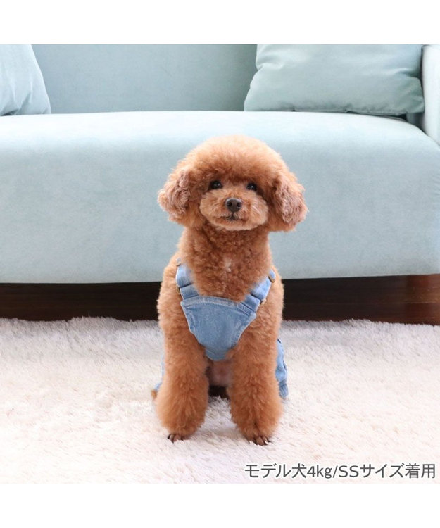 PET PARADISE Ｌｅｅ ペイント デニム オーバーオール 小型犬 ライトインディゴブルー