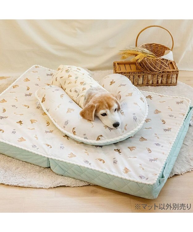 PET PARADISE ペットパラダイス makokoro シニアベッド 《犬柄》 Ｌ -