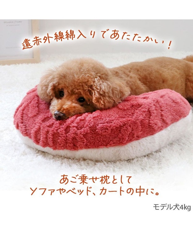 PET PARADISE ペットパラダイス 遠赤外線 アランボア ピロー レッド