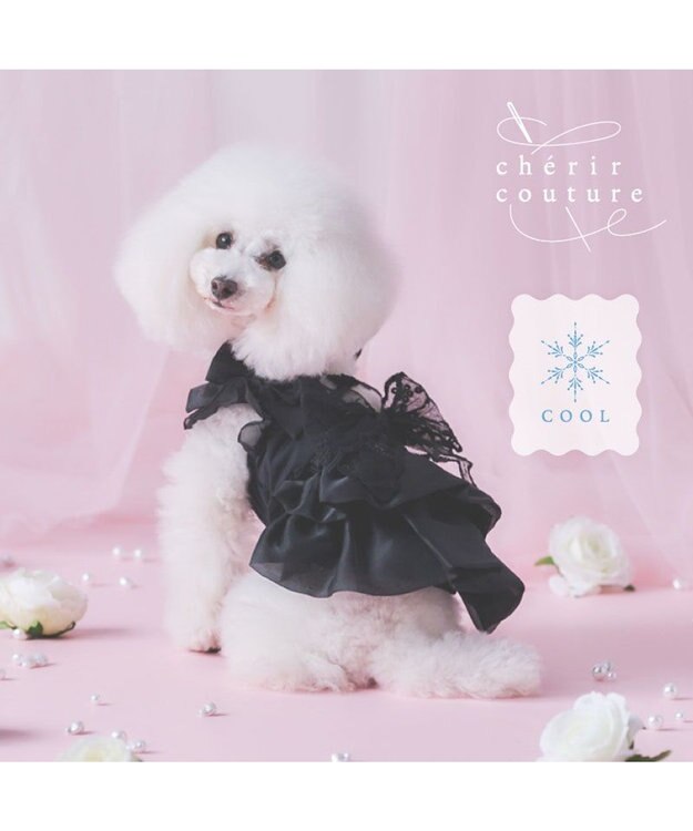 PET PARADISE cherircouture 接触冷感リボンワンピース 《ブラック》 小型犬 ブラック