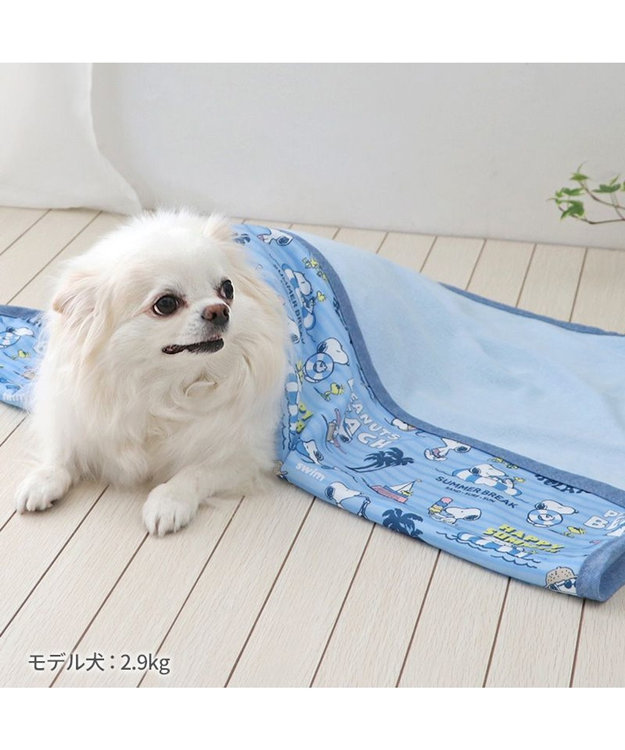 PET PARADISE スヌーピー クールケット 《バケーション柄》 小型犬 ブランケット バケーション柄