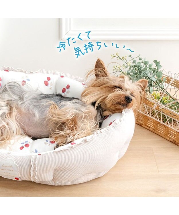 PET PARADISE ペットパラダイス クールカドラー 丸型 《苺花柄》 Ｓ ホワイト×レッド