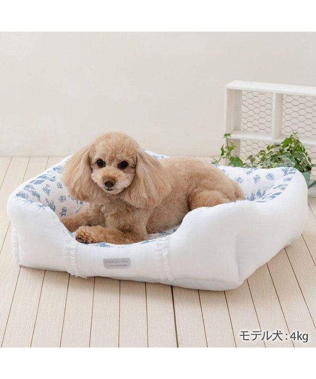PET PARADISE ペットパラダイス クールカドラー 《トワルドジュイ柄》 四角型 Ｍ ホワイト×ブルー