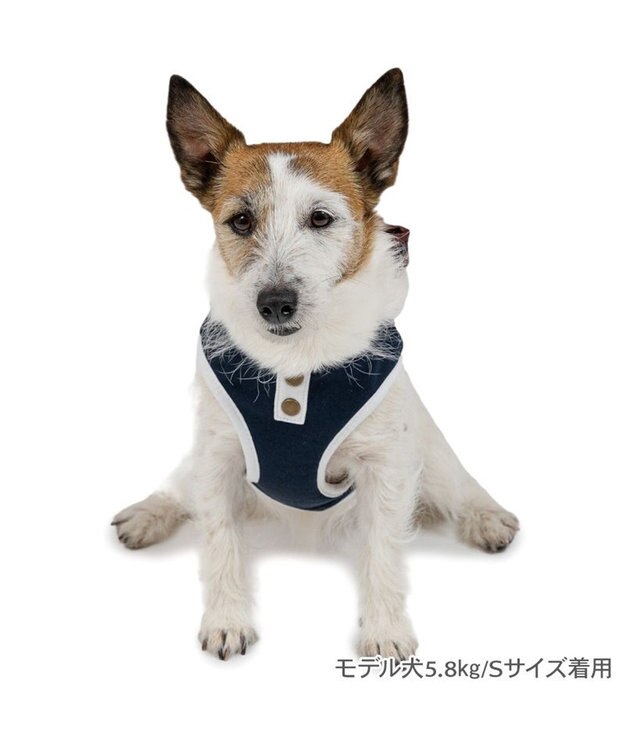 PET PARADISE ペットパラダイス ライン入りリュック付き ハーネス ３Ｓ 小型犬 ネイビー