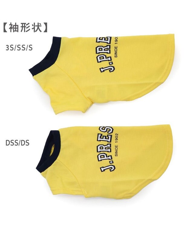 PET PARADISE J.PRESS カレッジ Ｔシャツ 小型犬 イエロー