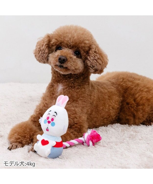 PET PARADISE ディズニー アリス 白うさぎ ロープトイ 白うさぎ
