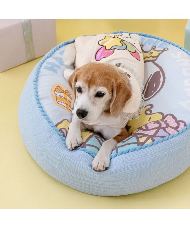 PET PARADISE スヌーピー バースデー ポンチョ 中型犬 大型犬 オフホワイト