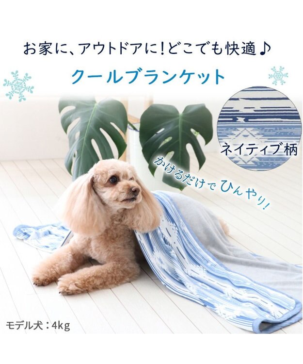 PET PARADISE ペットパラダイス クールブランケット 単品 (90×60cm)  《 苺柄 / ネイティブ柄 》 ネイティブ柄
