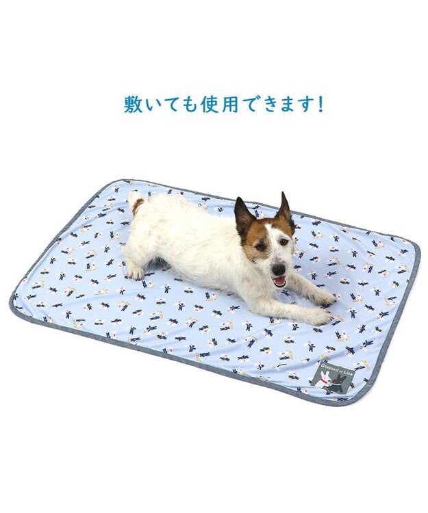 PET PARADISE リサとガスパール クールブランケット (90×60cm) 水色