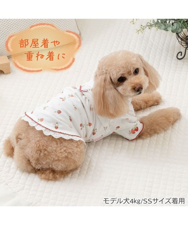 PET PARADISE ペットパラダイス ペティヒート天竺 Tシャツ 《いちご》 超小型犬 小型犬 ホワイト
