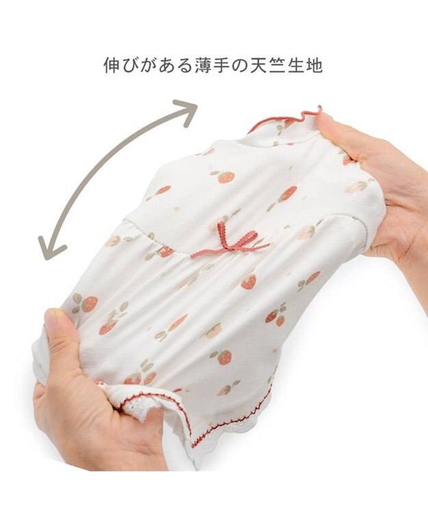 PET PARADISE ペットパラダイス ペティヒート天竺 Tシャツ 《いちご》 超小型犬 小型犬 ホワイト