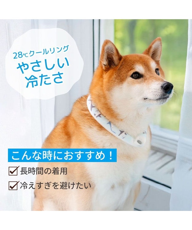 PET PARADISE ペットパラダイス ２８℃ クールリング Ｍ 《サメ柄》 ブルー