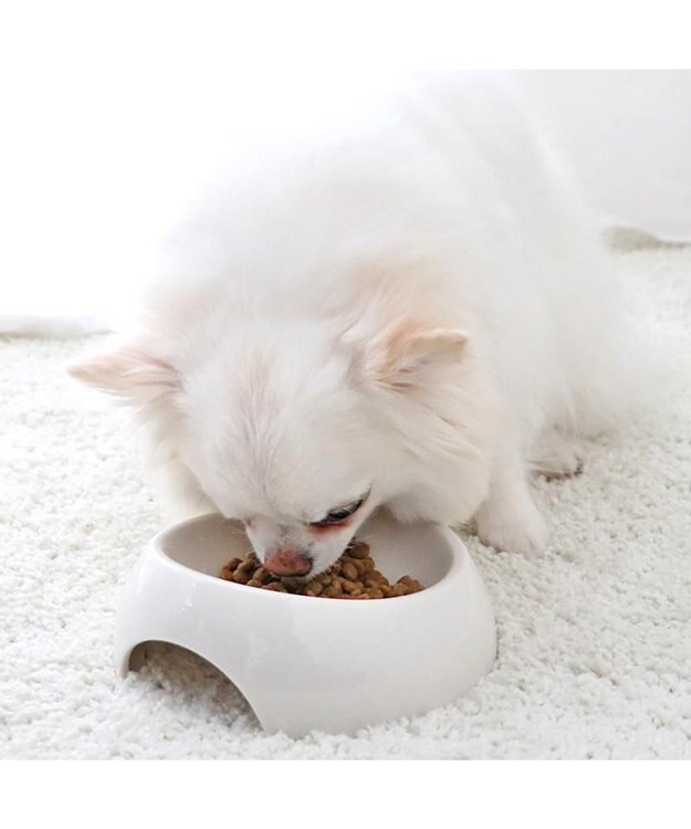 PET PARADISE  ペットパラダイス ドッグフード フローラ 1kg 国産 0