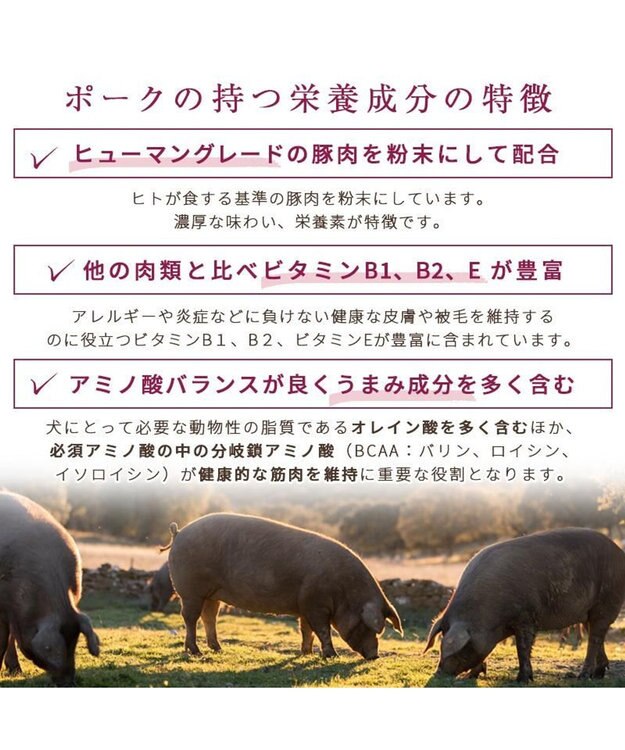 PET PARADISE  ペットパラダイス ドッグフード フローラ 1kg 国産 0
