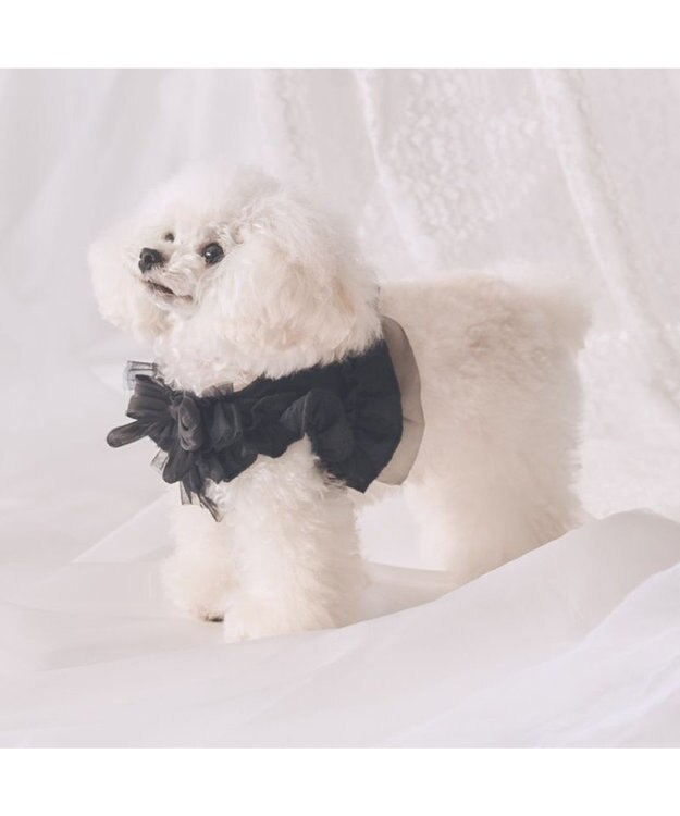 PET PARADISE cherircouture フリフリハーネス 《ブラック》 小型犬 ４Ｓ/３Ｓ ブラック