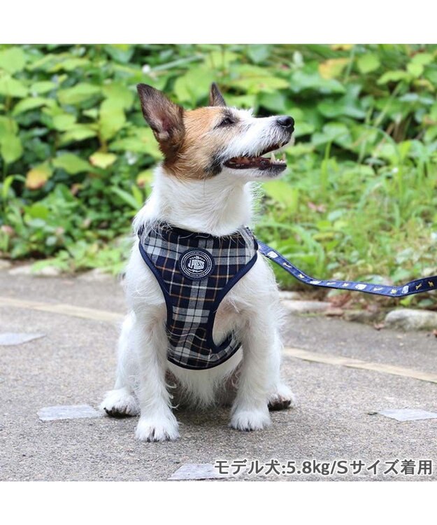 PET PARADISE J.PRESS ビエラチェック ハーネス リード【Ｓ】 マルチカラー