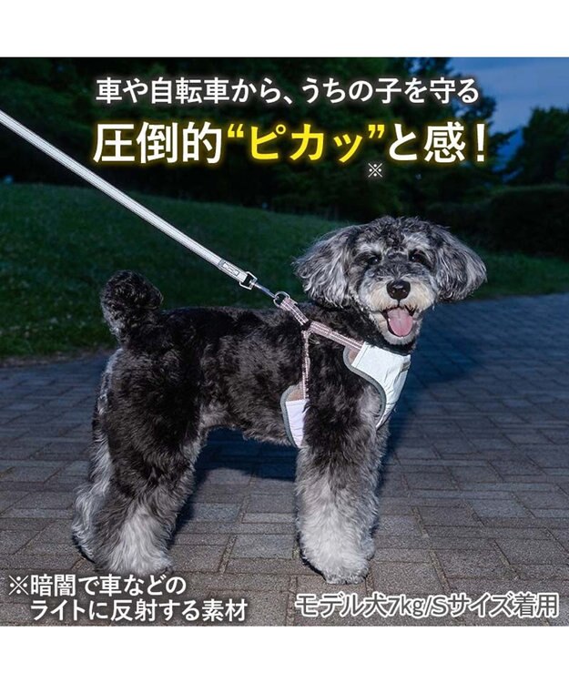 PET PARADISE ペットパラダイス 超反射 切り替え ハーネス＆リード ＳＳ 《ブルーグリーン》 ブルーグリーン