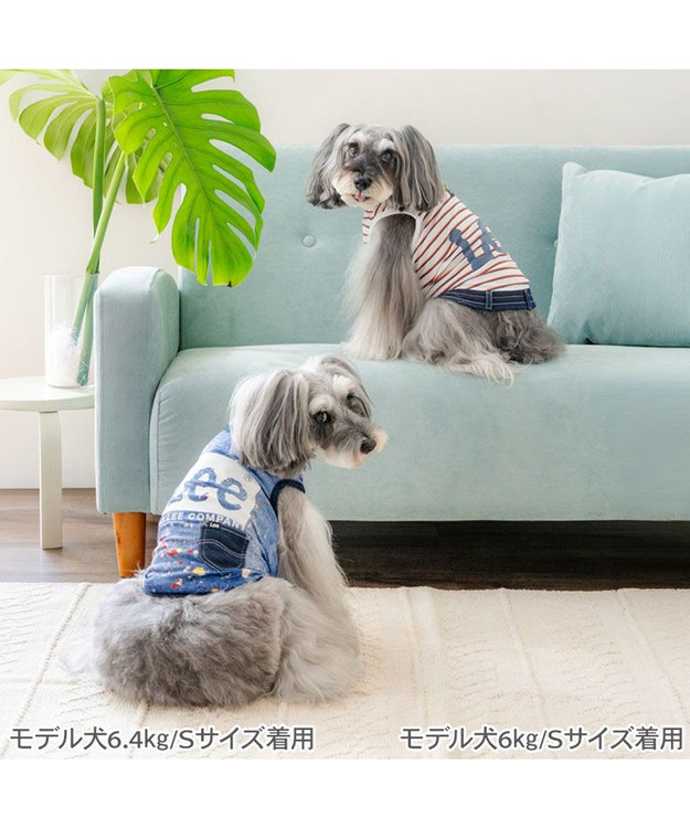 PET PARADISE Lee エコメイド タンクトップ 《スプラッシュ柄》小型犬 ブルー