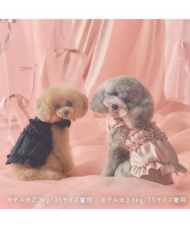 PET PARADISE cherircouture リボン ギャザーベスト 《ブラック》 小型犬 ブラック