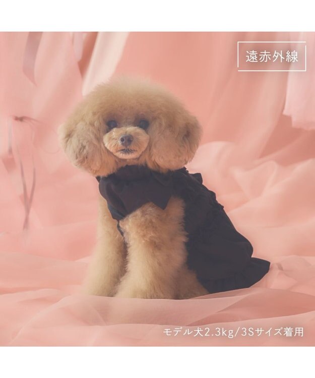 PET PARADISE cherircouture リボン ギャザーベスト 《ブラック》 小型犬 ブラック