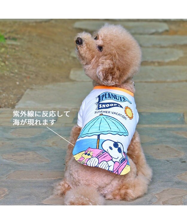 PET PARADISE スヌーピー UV反応 色が変わるTシャツ 《ビーチ柄》 小型犬 ブルー