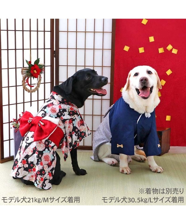 PET PARADISE ペットパラダイス お正月袴 《花菱柄》中型犬 大型犬 グレー×ネイビー