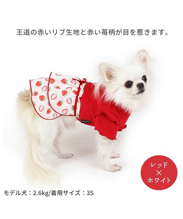 PET PARADISE 犬の服 犬 ワンピース 【小型犬】 苺柄 リブ ピンク レッド レット×ホワイト