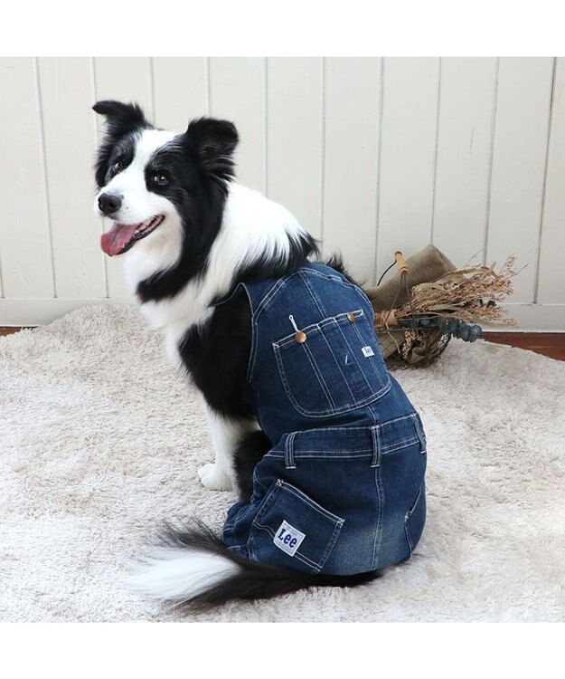 PET PARADISE Lee デニム 白ステッチ オーバーオール  中型犬 大型犬 ネイビー