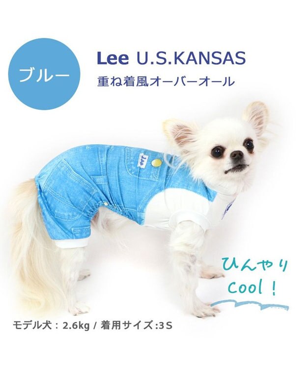 PET PARADISE Ｌｅｅ つなぎ風  ロンパース 【小型犬】《ブルー/オレンジ》クールマックスエコメイド ブルー