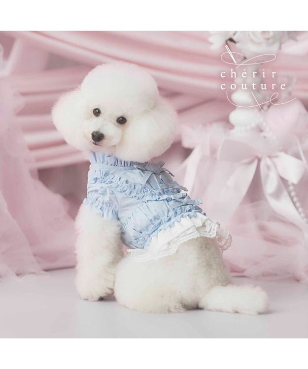 PET PARADISE cherircouture フリルシャツ 《ライトブルー》 小型犬 ライトブルー