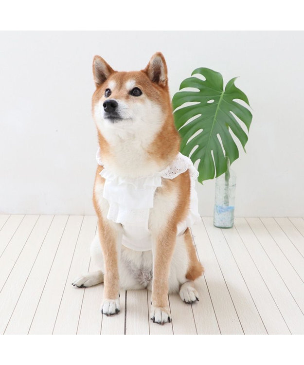 PET PARADISE ペットパラダイス ポケットクール ビスチェ 中型犬 ホワイト
