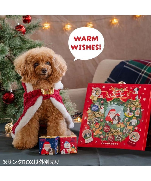 PET PARADISE クリスマス サンタＢＯＸ サクサク鶏むね肉&砂肝 0