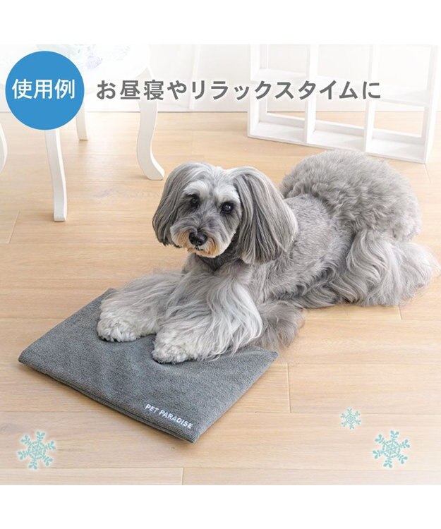 PET PARADISE ペットパラダイス やわらかアイス枕 グレー 2026 グレー