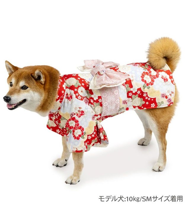 PET PARADISE ペットパラダイス 菊 牡丹 着物 中型犬 大型犬 レッド