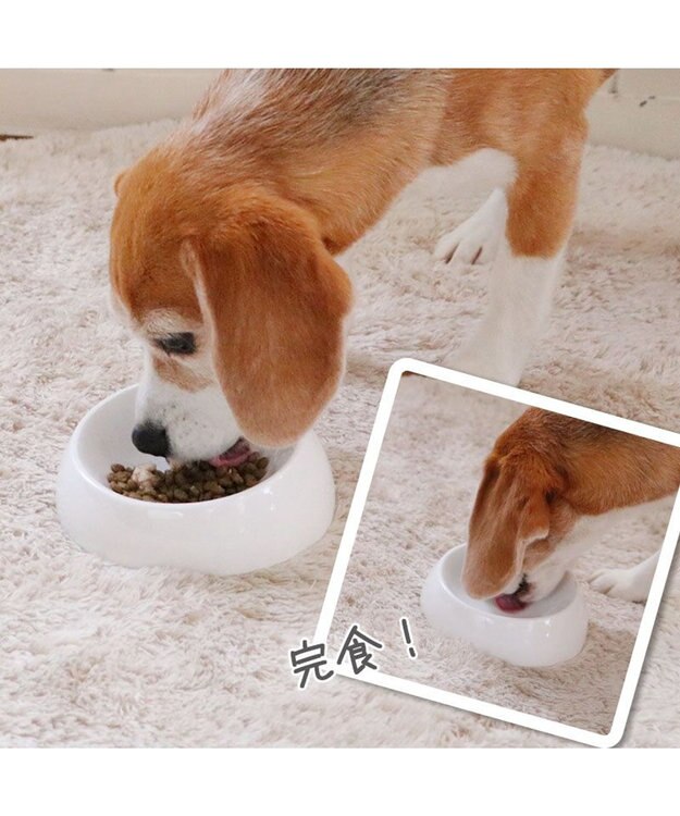 PET PARADISE リアル フード パウチ スープ 《レバー＆キャロット》 50g×3パック 国産 0