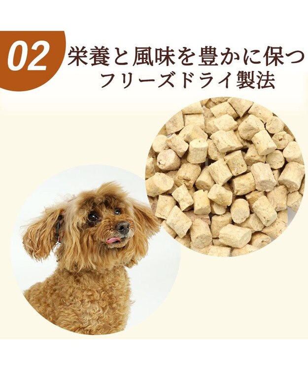 PET PARADISE さくさく 鶏むね＆レバー 22g 国産 -