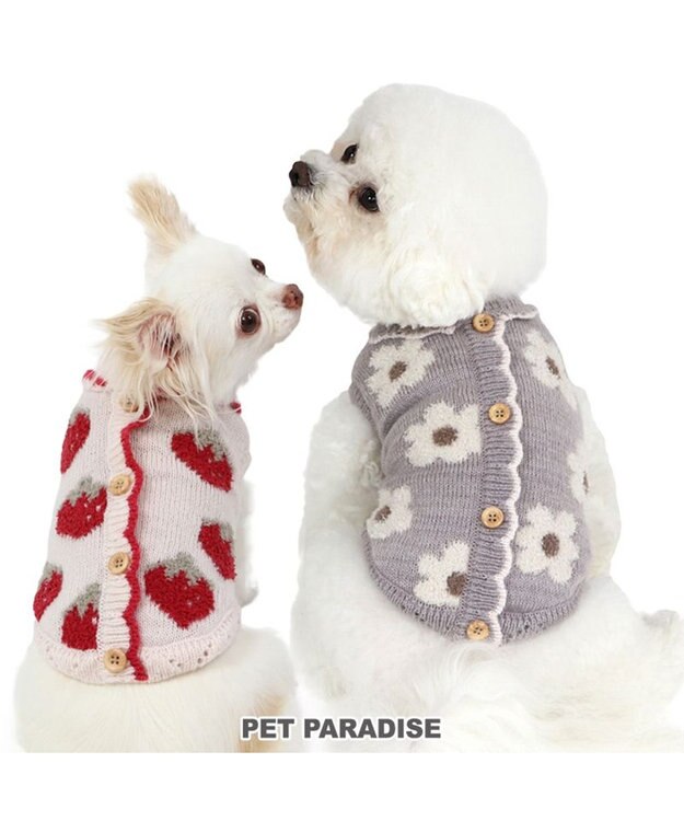 PET PARADISE ペットパラダイス お花もこセーター  超小型犬 小型犬 グレー