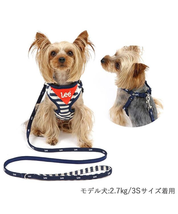 PET PARADISE Lee ハーネス＆リード 《ボーダー》 ＳＳ 小型犬 ネイビー