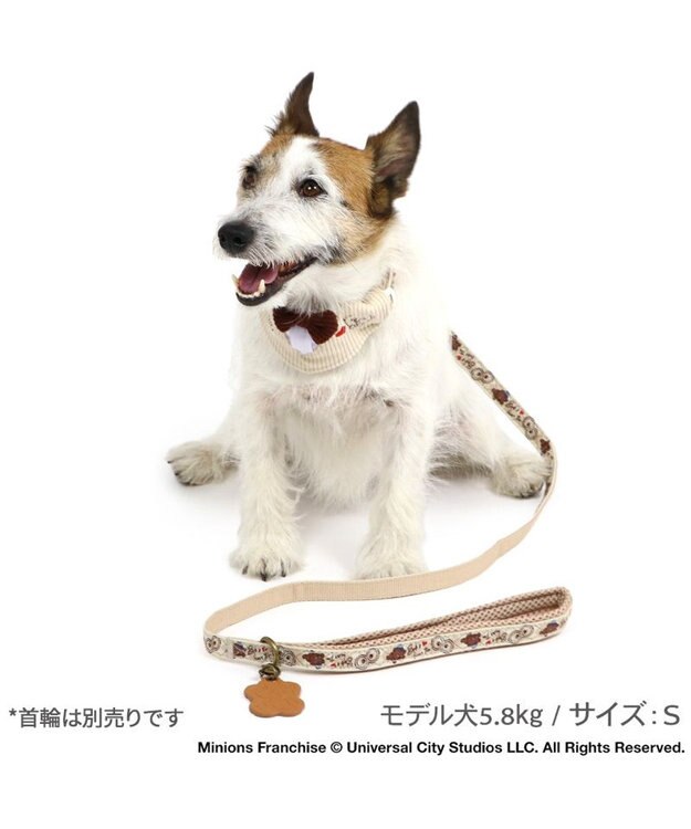 PET PARADISE ミニオン ティム アーガイル リード 超小型犬 ～３S ティム